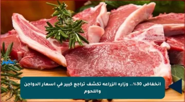 انخفاض 30%.. وزارة الزراعة تكشف تراجع كبير في أسعار الدواجن واللحوم